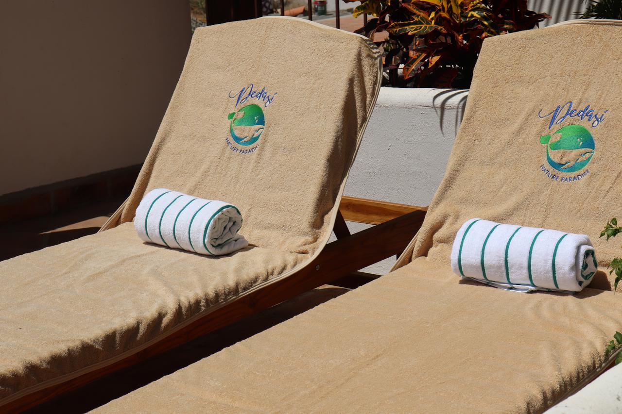 פדאסי Hotel Pedasi Nature Paradise מראה חיצוני תמונה